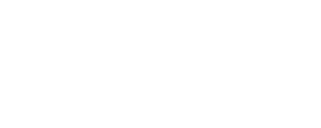 Pale Moon logo