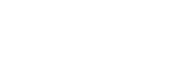 Tulip Fever logo