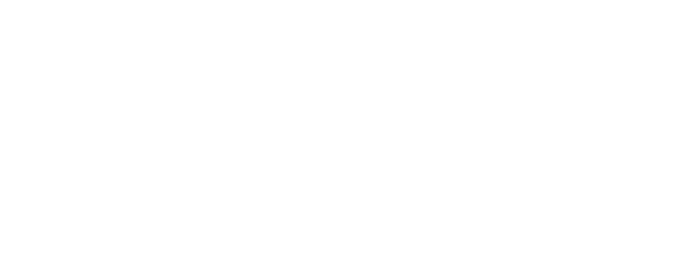 Lion logo