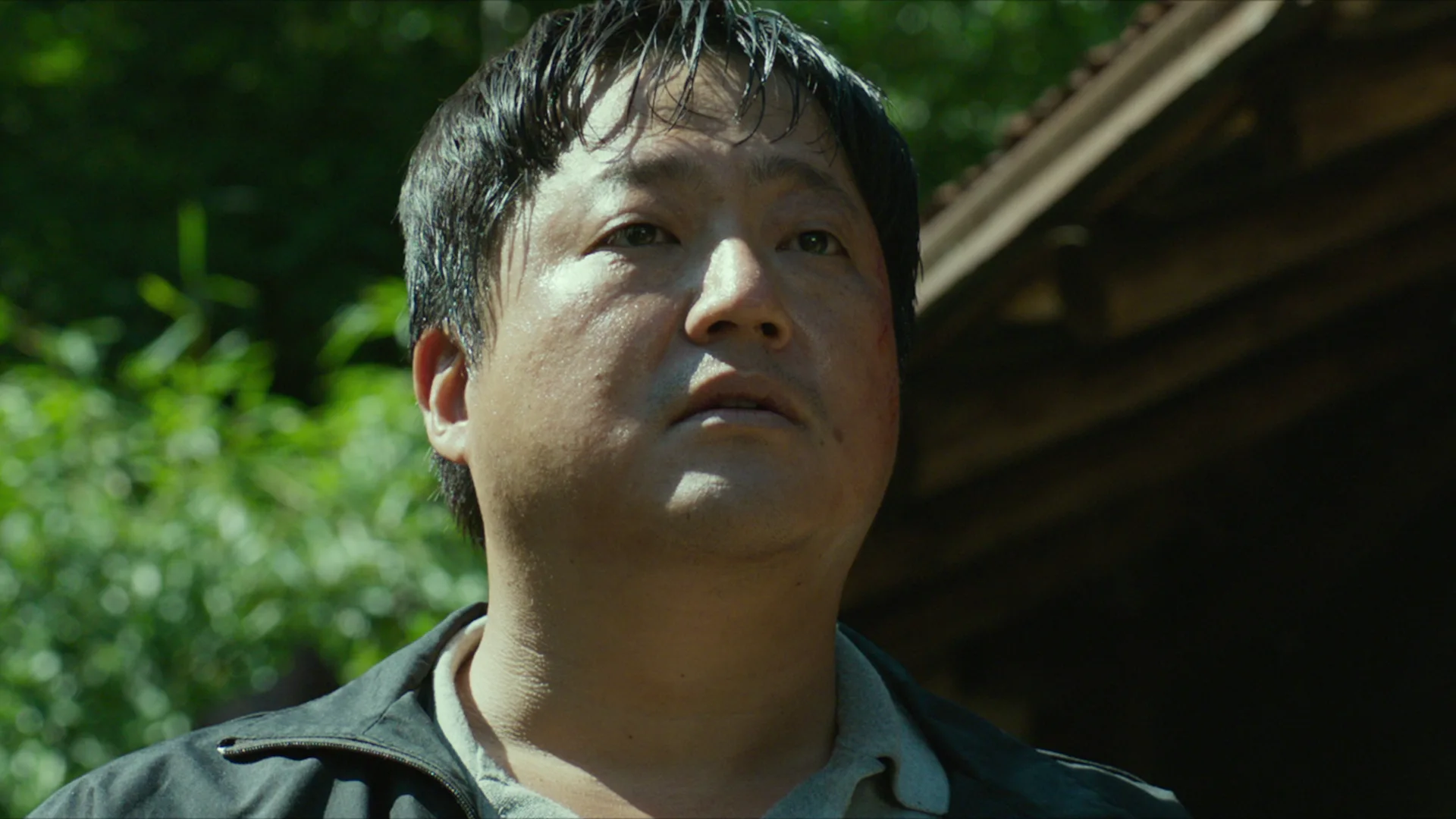 The Wailing
