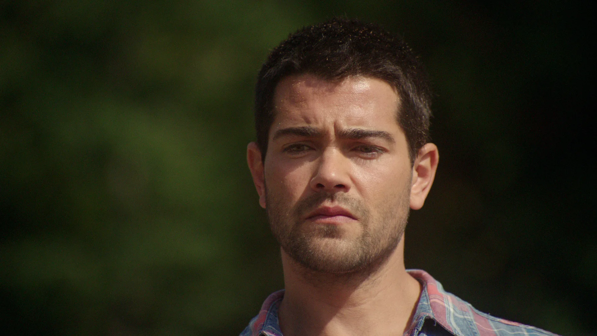 Chesapeake Shores