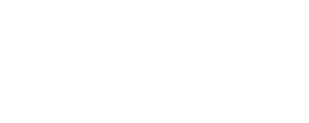 Chesapeake Shores logo