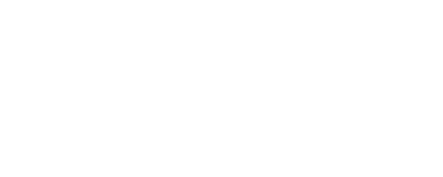 Chesapeake Shores logo
