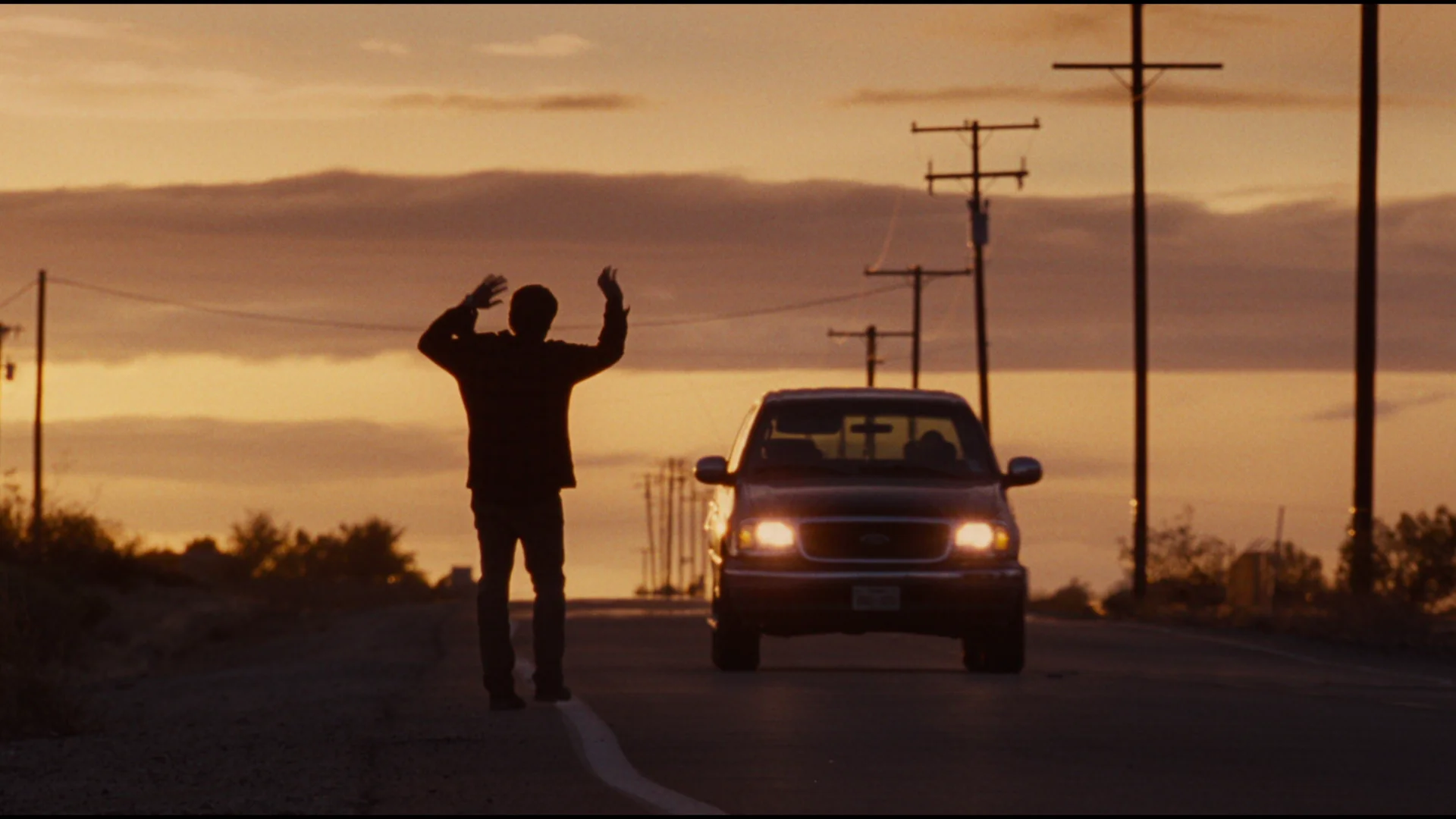 Nocturnal Animals