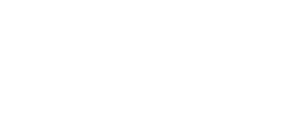 Nocturnal Animals logo