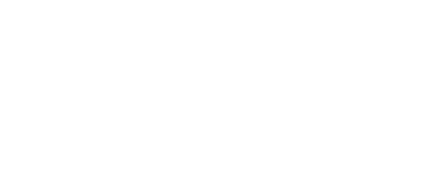 Rock'n'Roll Mishin logo