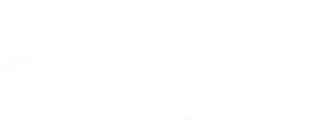 Split logo