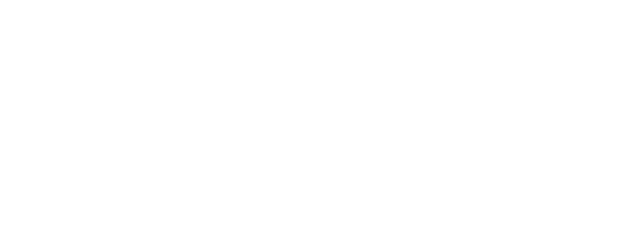 Bungo Stray Dogs logo