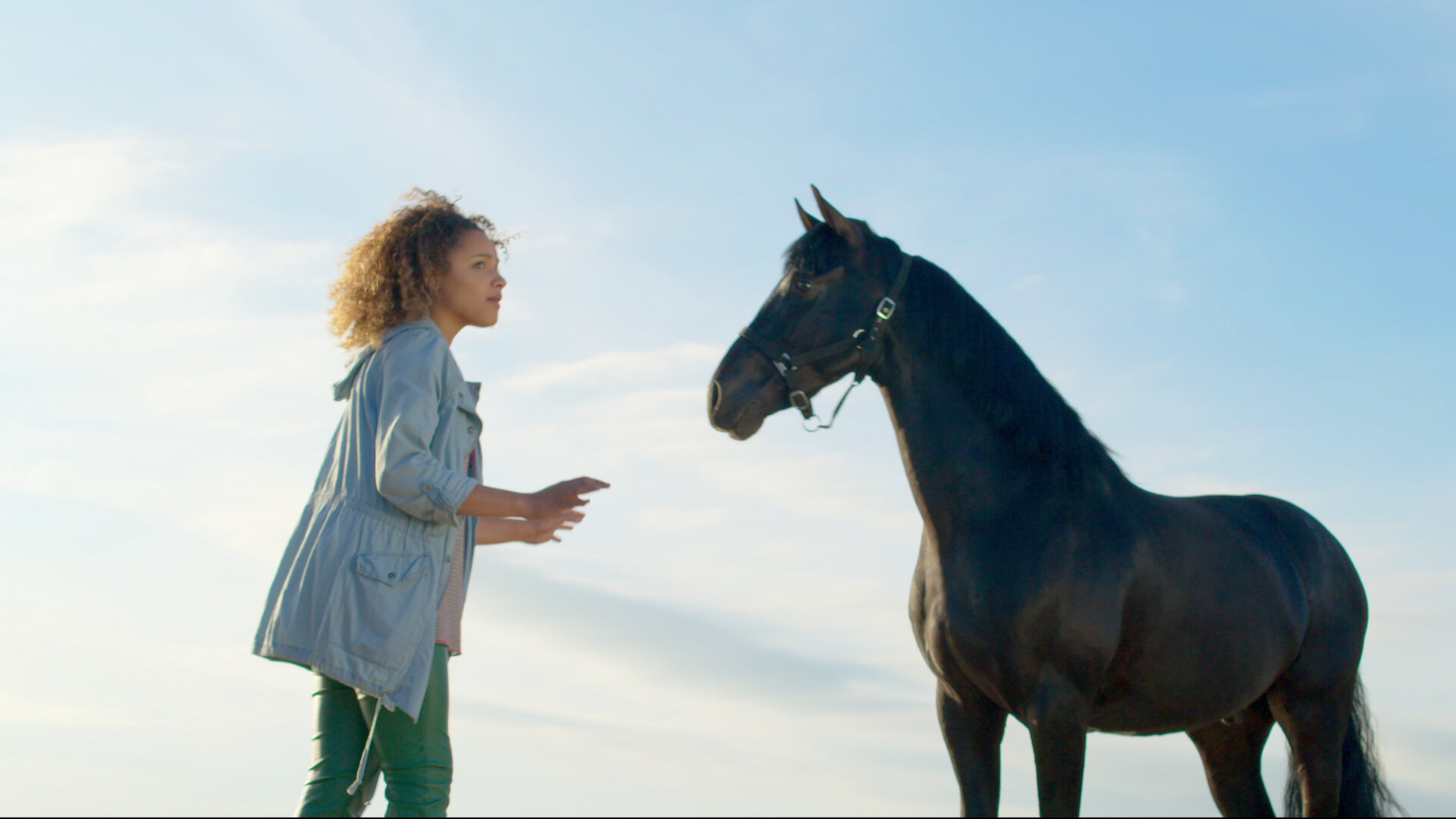 Free Rein