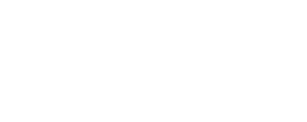 The Divide logo