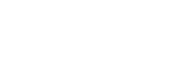 20/30/40 logo