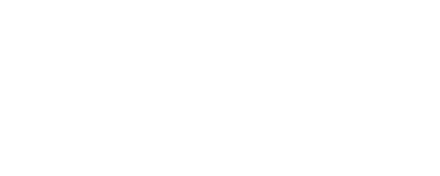 Wonder logo