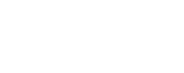 Wonder logo