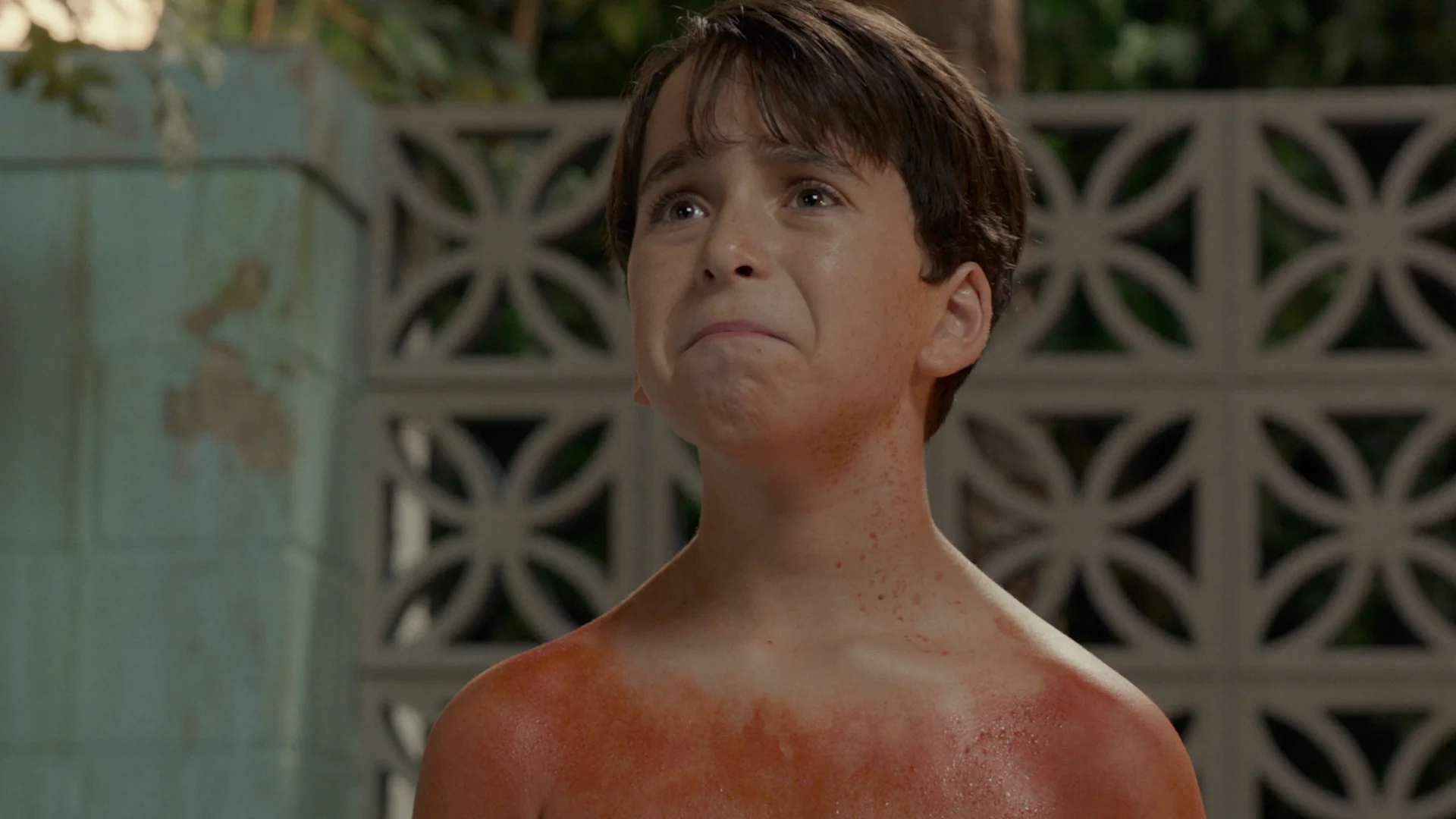 Diary of a Wimpy Kid: The Long Haul