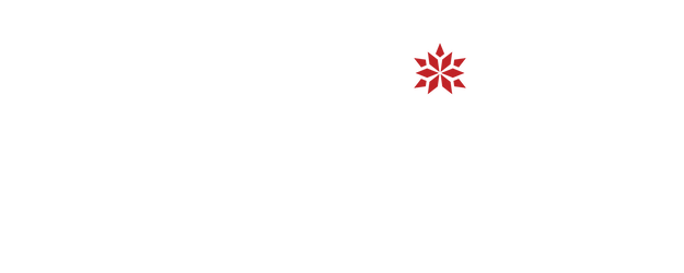 Every Christmas Has a Story logo