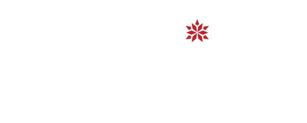 Every Christmas Has a Story logo