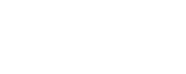 Security logo