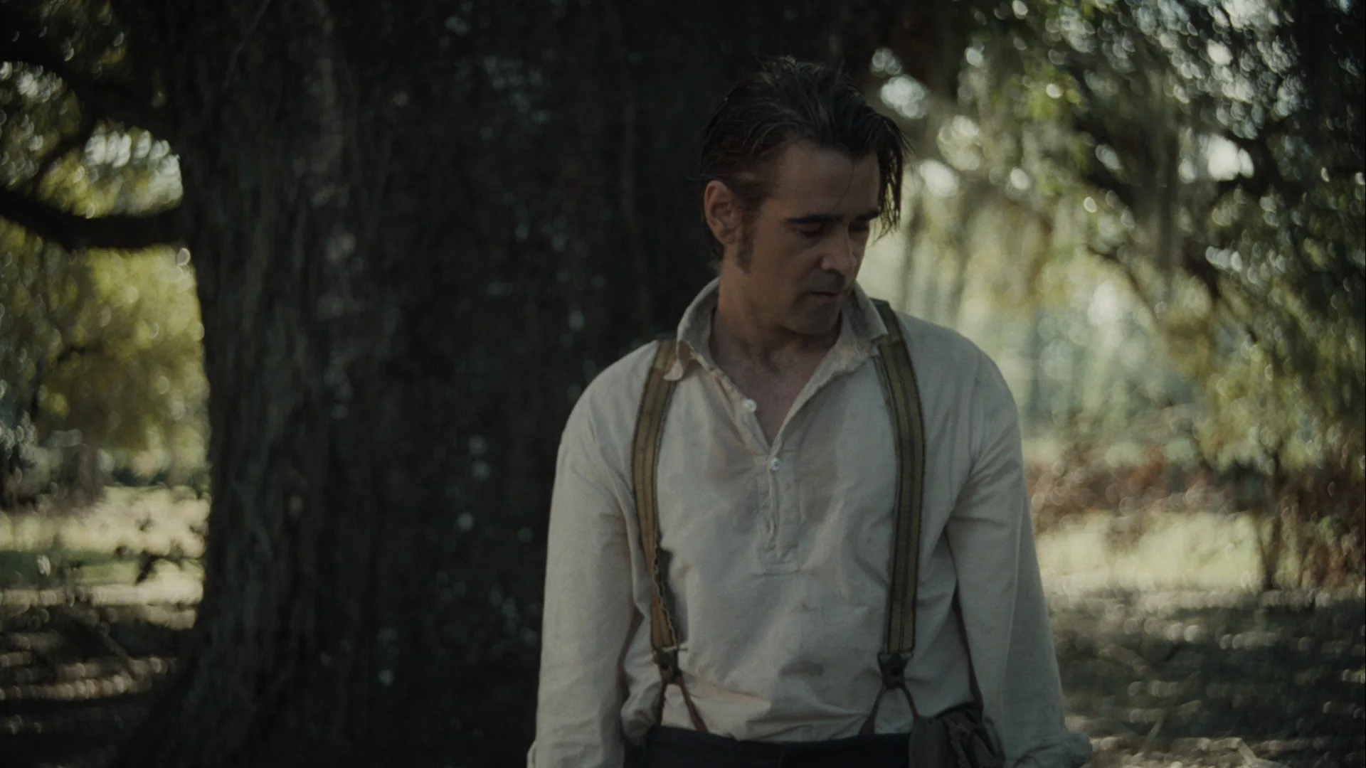 The Beguiled