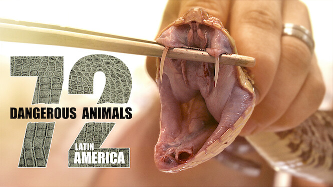 72 Dangerous Animals: Latin America