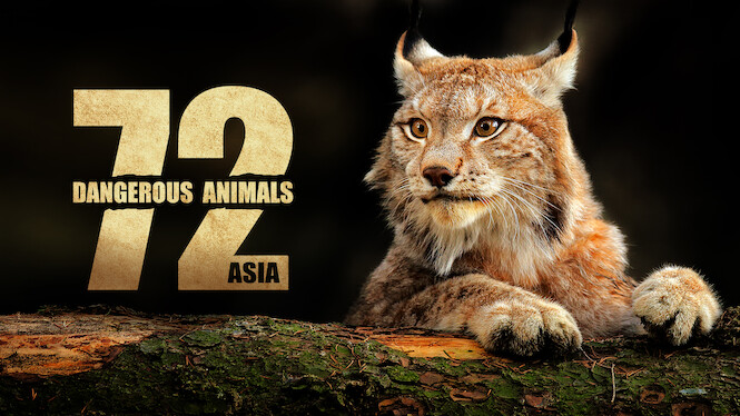 72 Dangerous Animals: Asia
