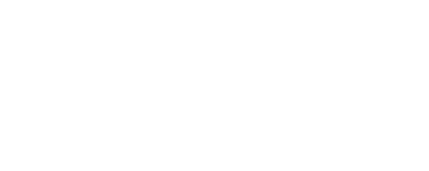 The Yellow Birds logo