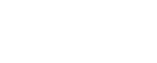 The Yellow Birds logo
