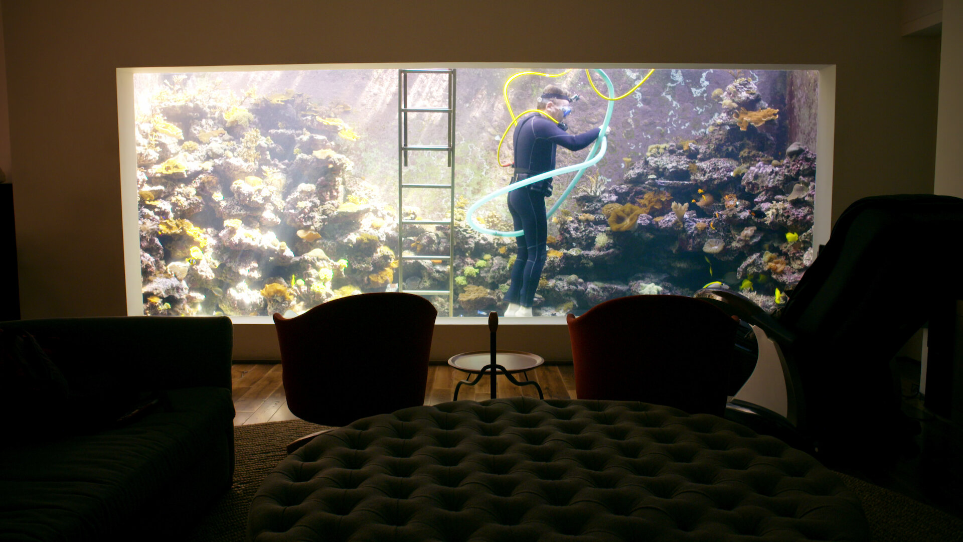 Amazing Interiors