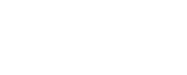 The Net logo