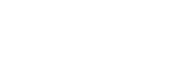 The Net logo