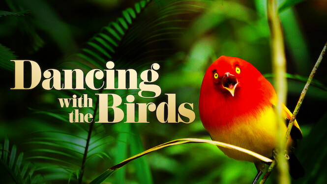 Dancing with the Birds
