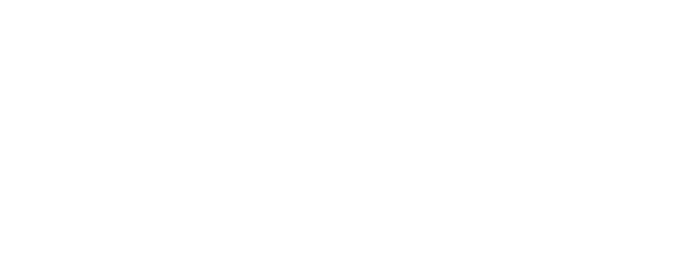 Nothing to Lose logo