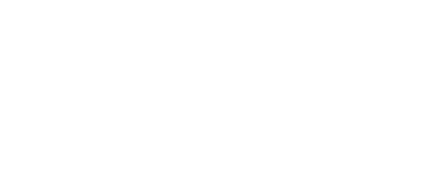 12 Strong logo