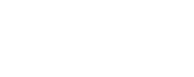 A Discovery of Witches logo
