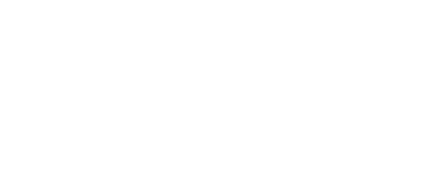 The Hummingbird Project logo