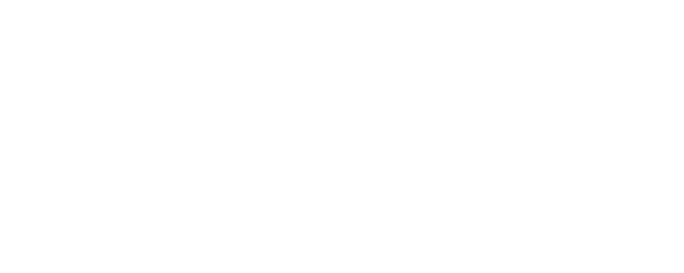 The Hummingbird Project logo