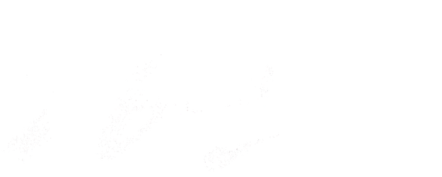 26 Years logo