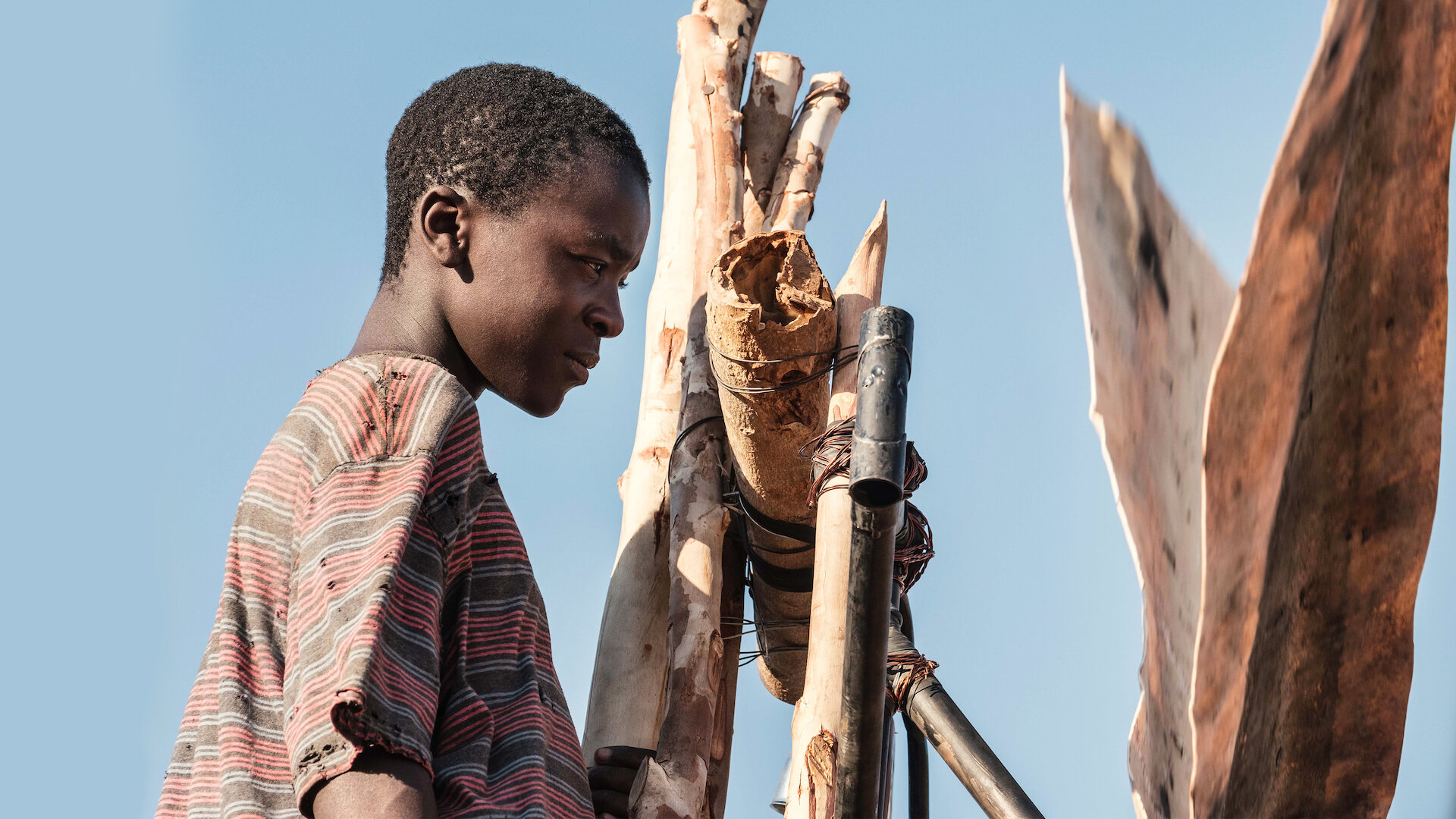 The Boy Who Harnessed the Wind
