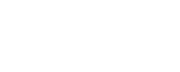 BORDER logo