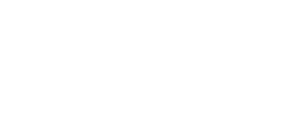 BORDER logo