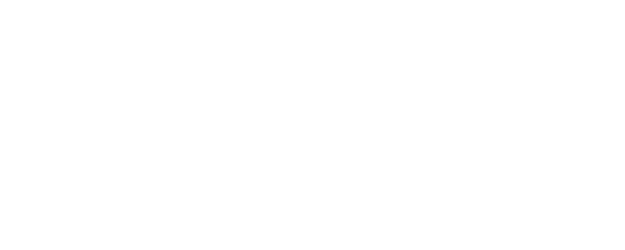 Double Trouble logo