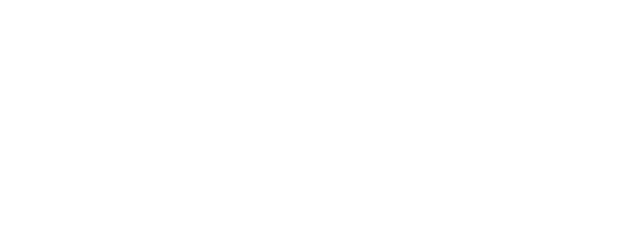 Double Trouble logo