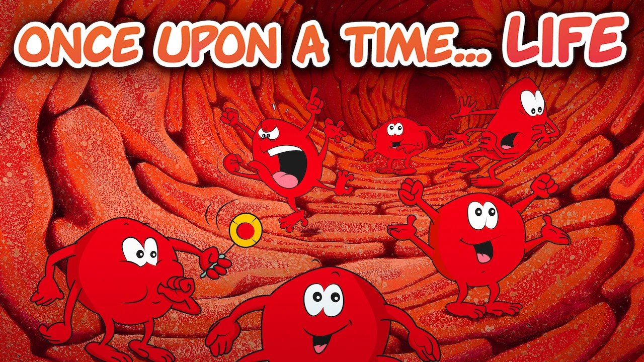 Once Upon a Time... Life