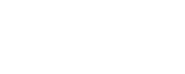 Bewitching Attraction logo