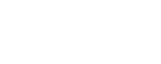 Unbridled logo