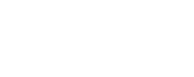 Birds Without Names logo