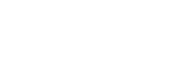 Strongest Deliveryman logo