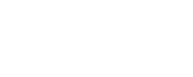 Strongest Deliveryman logo