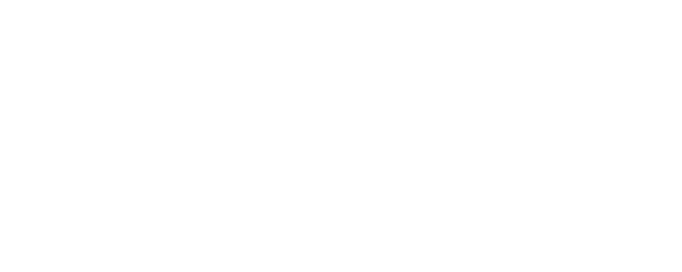 Ride Like a Girl logo