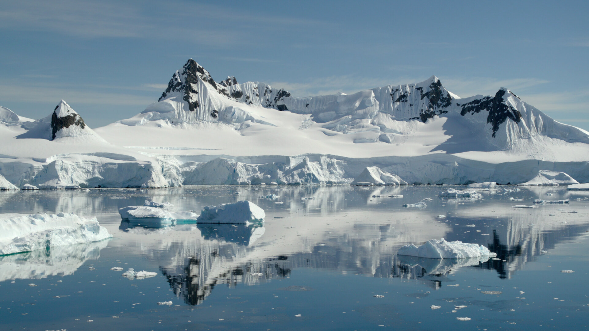 David Attenborough: A Life on Our Planet
