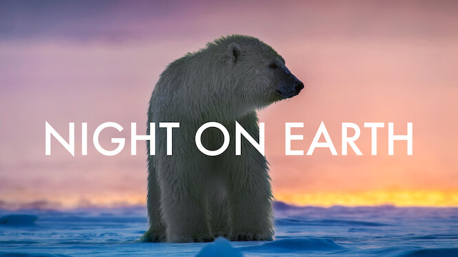 Night on Earth